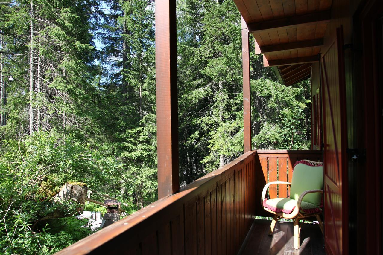 الشقق الفندقية مادونا دي كامبيليوفي  Chalet Dei Pini المظهر الخارجي الصورة